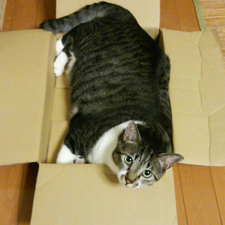 99e34a32 5394 4a85 8f08 97ff7b335afe