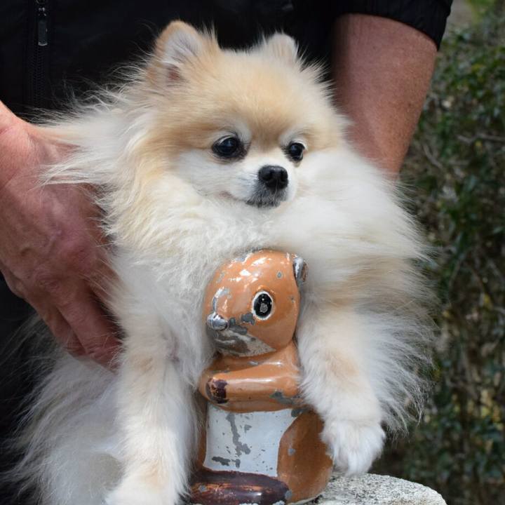 99e37497 dbce 4270 bc61 7c8ee90ac7a6