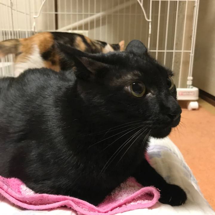 99e3e511 e7da 4df5 bd79 367b4727e8e2