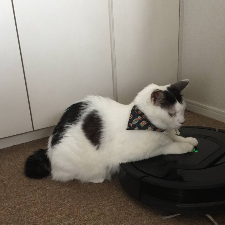 99e3e5e4 fc98 445b 9d79 13038c3fc275