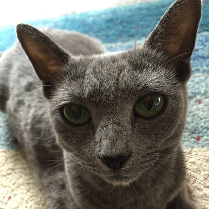 99e52a98 c018 4341 8c68 b06c671fdffa