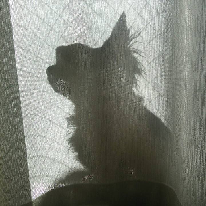 99e56de5 7621 4bd6 93db 4be3b086ce6e