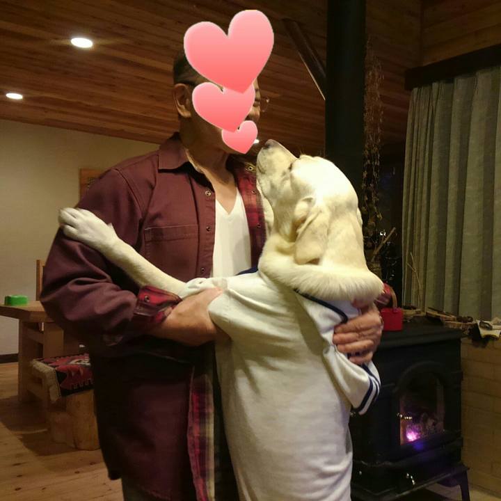 99e598d6 97f3 4b30 98a8 9274da99055c