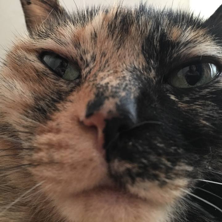 99e5a59a edd8 4807 913b 0a4eb13f7194