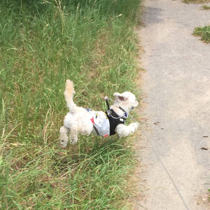 99e5f7e2 6d21 40bf 8cd8 9bd28e26768e