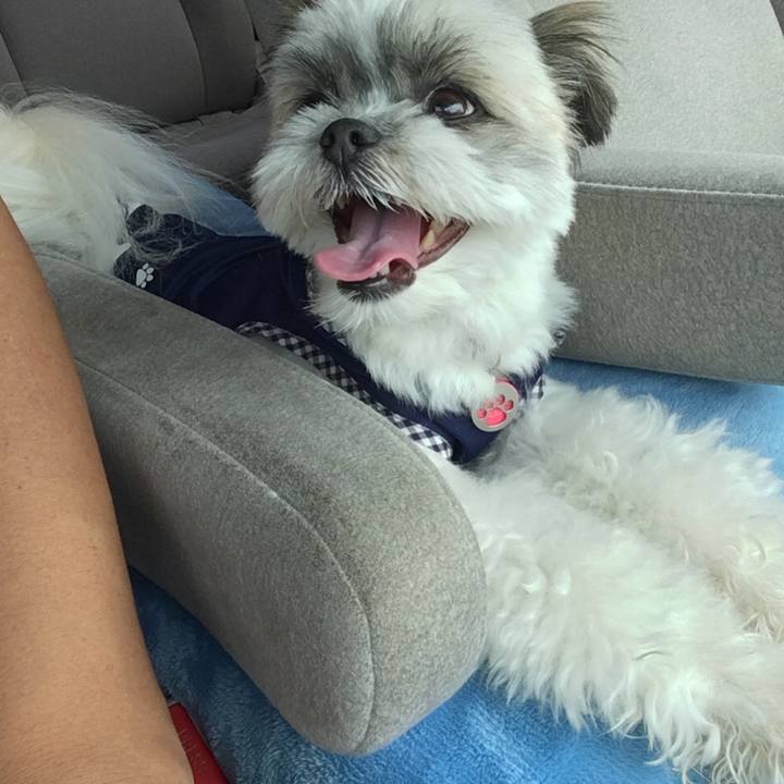 99e630f1 5999 4750 82de eea46d3f5ece