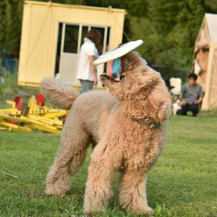 99e67db3 c52c 43db aff3 0bbafb488198