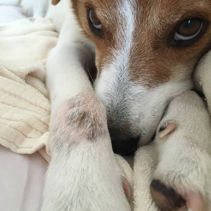 99e68ed1 ac97 4016 ab35 16597736d9f2