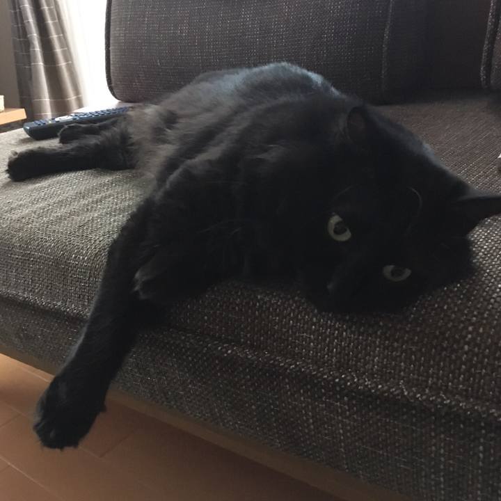 99e7bb3c b720 4628 8cb1 6eec9679f777