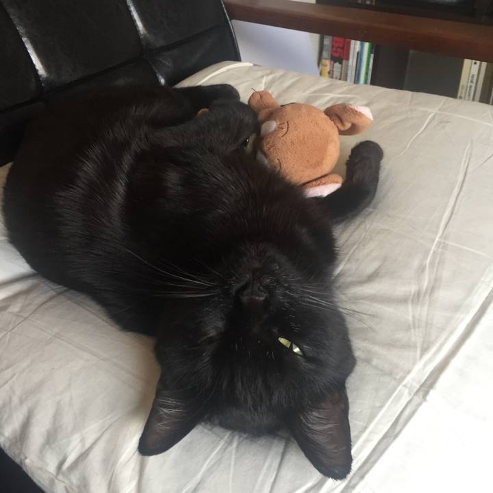 99e8d9ee e613 46b7 895d b04ef52990cb