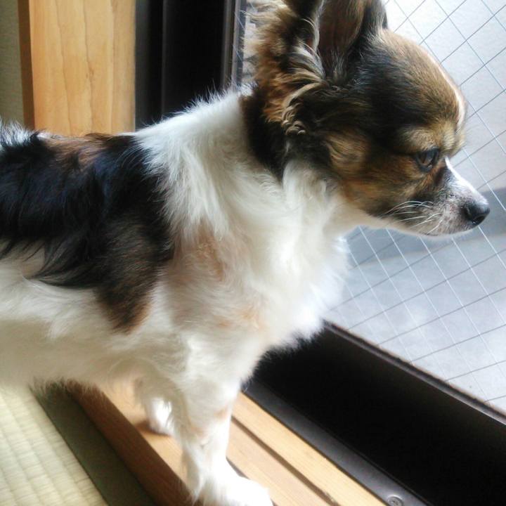 99e937c3 3e34 4d2f 85ed f0303b3c367d