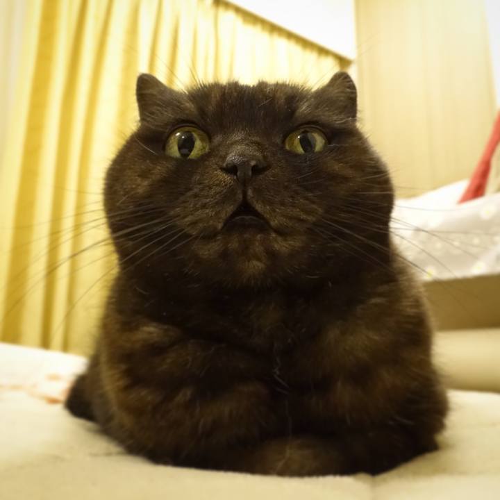 99ea14c4 63dc 4a2a b631 56000aadad87