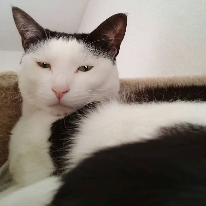 99eb367b 8bbd 4aff 83d3 c9825150d9c5