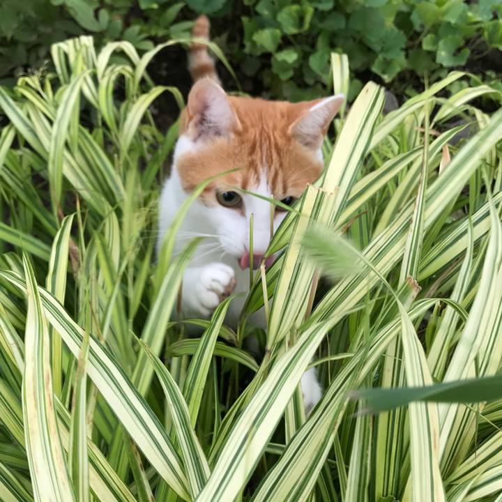 99eb7fce f165 43e8 8ef5 4ccf6d949ca8