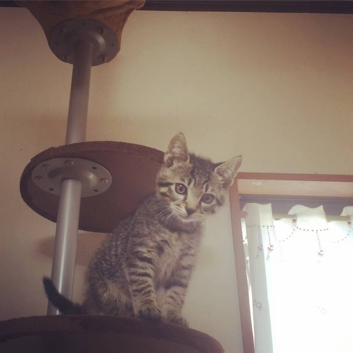 99eba230 2bd0 403f bb8f 18bea1baccaa