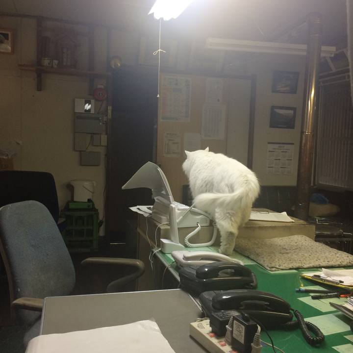 99ec5dcb 9c3a 4ada ae1c fed2e9023d4a