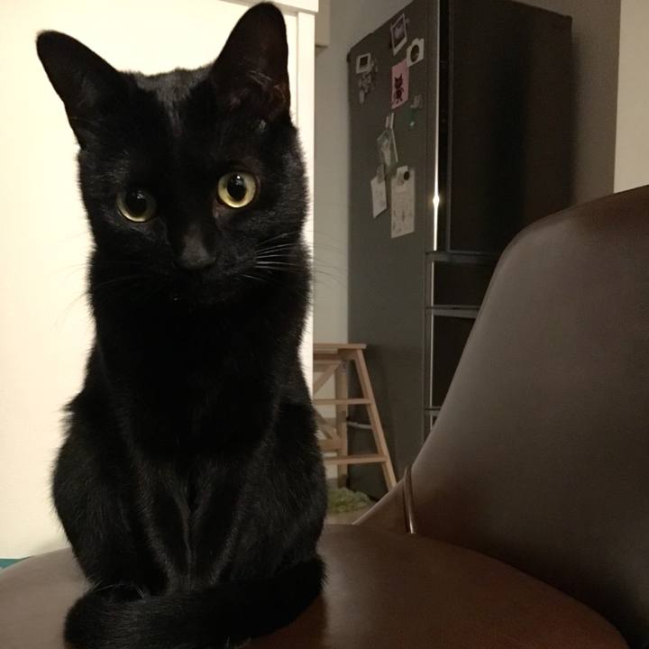 99ec6194 c4d6 459b bb17 ac4607c6419a