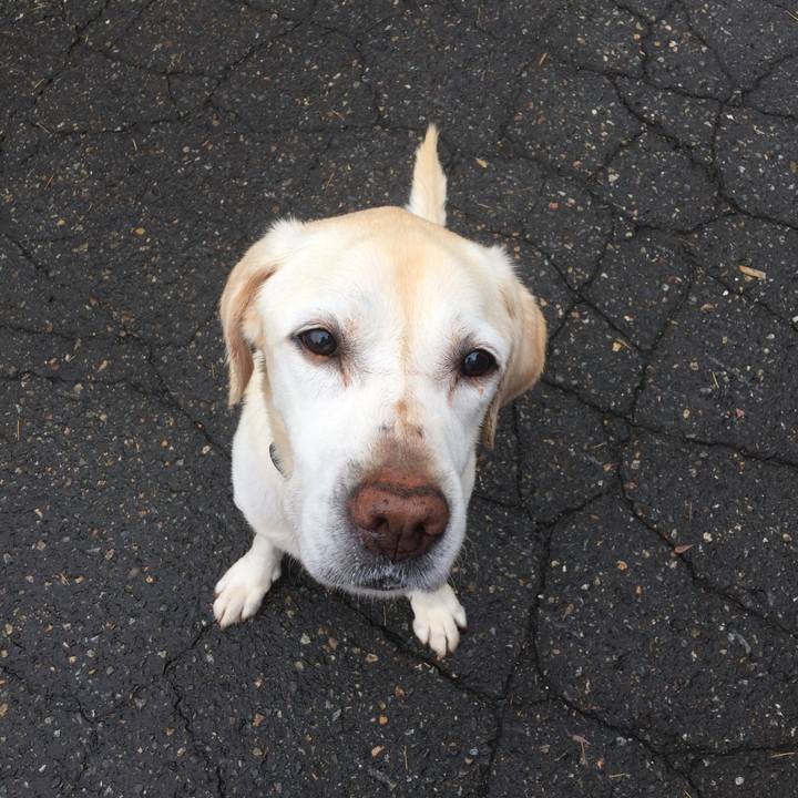 99ecb322 2cca 45e0 9996 9918b627e96d