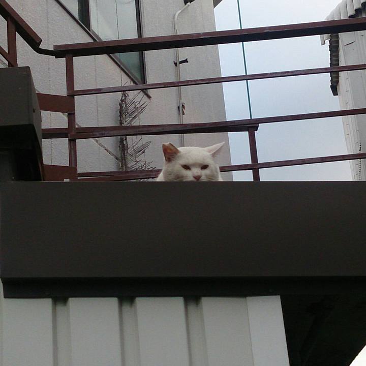 99ee2dcc a14c 4410 8f2e 8aa25ce0f70d