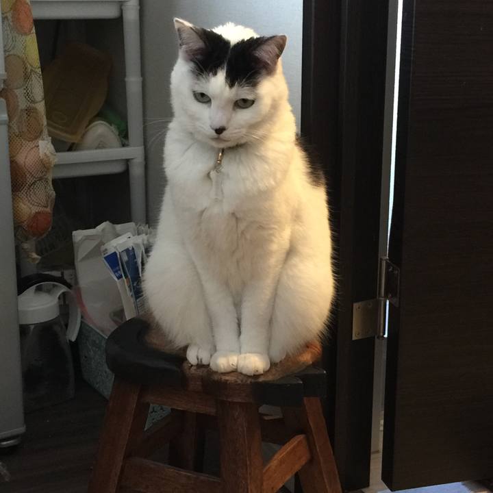 99eed8f0 4a6b 408d b540 7f1ee467ddf2