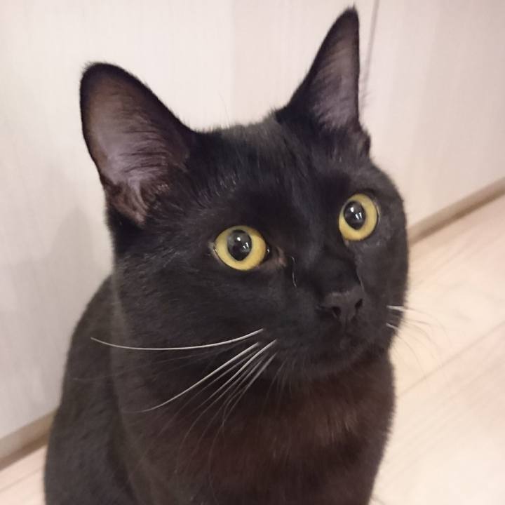 99ef2715 4df8 4f45 9857 7317f98a5bd9