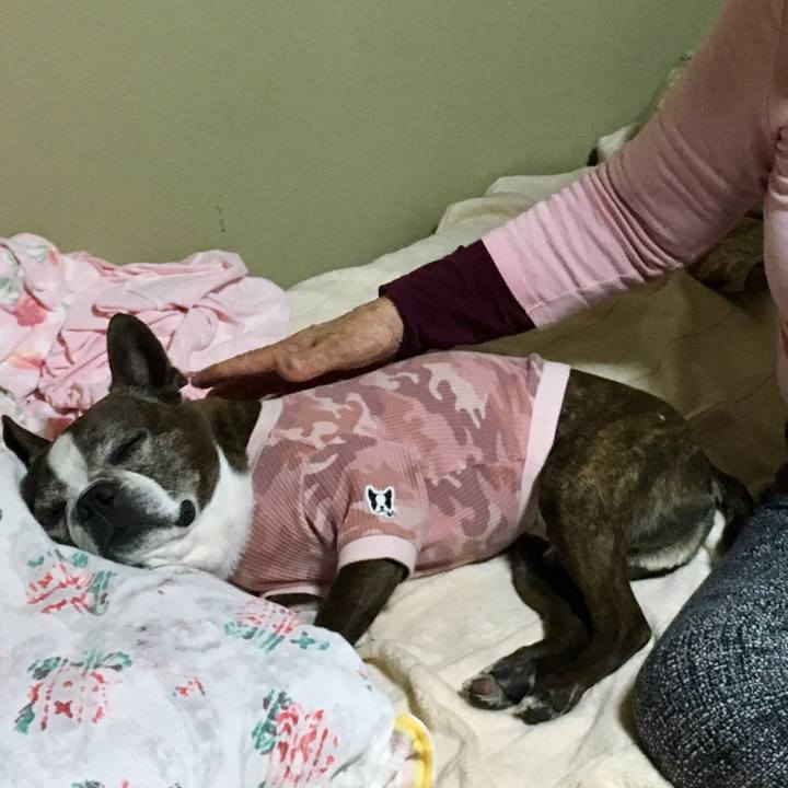 99f0145d 66dc 4d1a 94c4 f43871d1107b