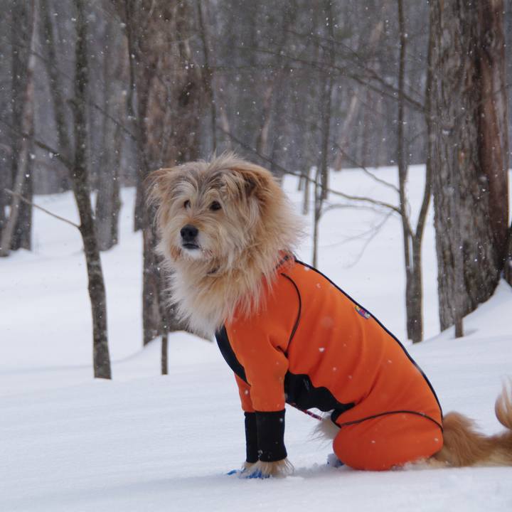 99f08bbf 3ce1 406d b641 1575119d0064