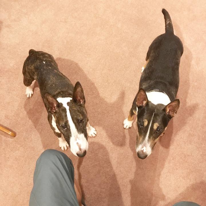 99f097ad a6e3 48ee 8a1e 9f9b75b8361c