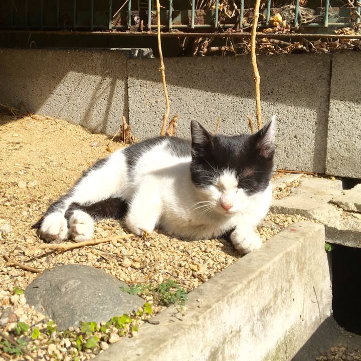 99f09842 35dc 441b 8c20 df858ad85b9f