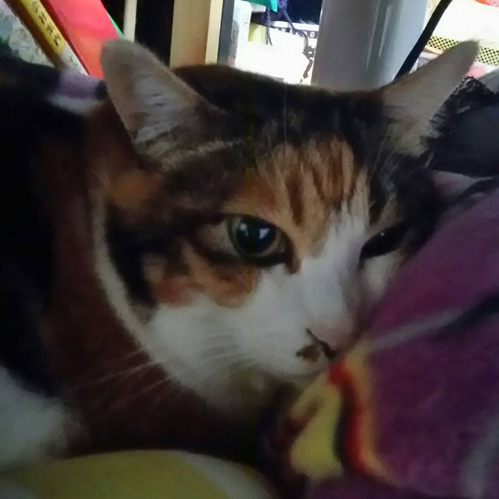 99f14b08 6998 4768 aeb4 ea23b21c28a9