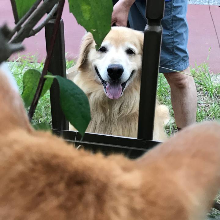 99f16cc3 f52f 4ac5 9dcb 46e0d8b33fcf