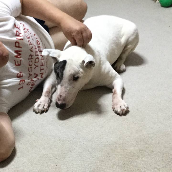 99f19acc a294 4b3c a36c 2782295a421a