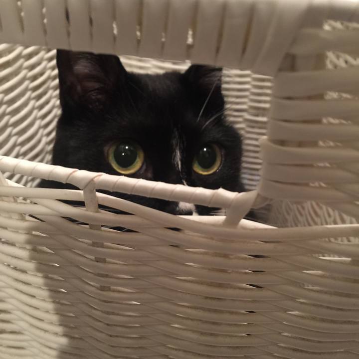 99f1e3d1 0f6f 4296 80b1 a160e1ba4a1c