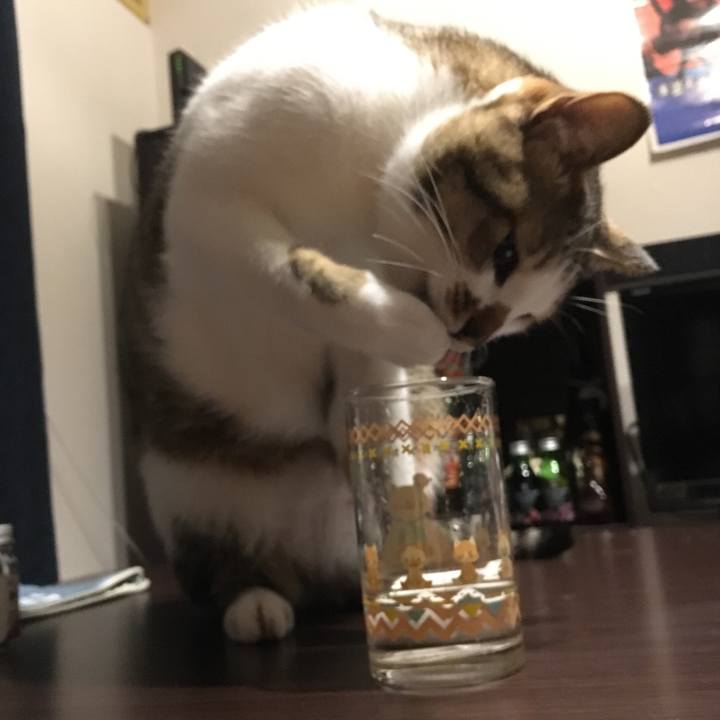 99f1f2d4 663a 400e 9631 e7a3f33b7348