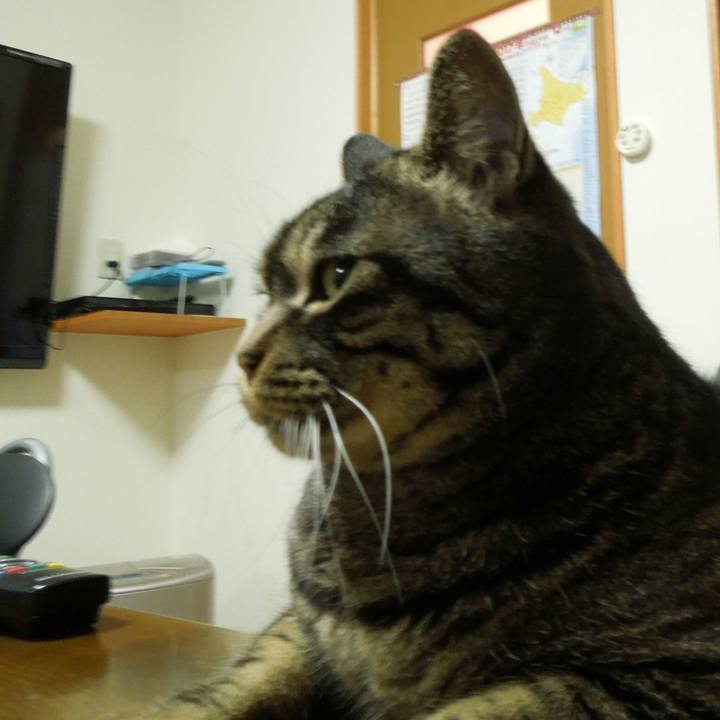 99f3a694 e714 4c02 98d0 a075eafe0582