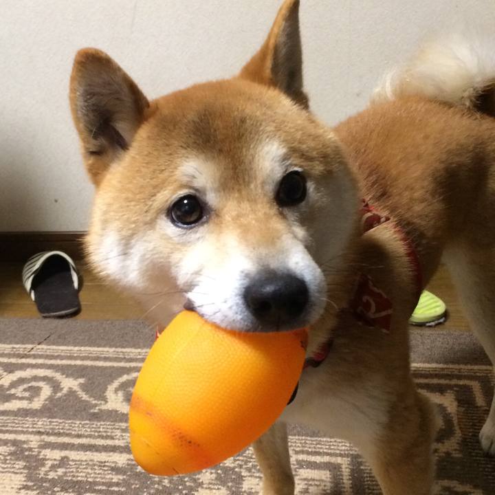 99f435d0 cb8b 425f aceb 963aed2dc724