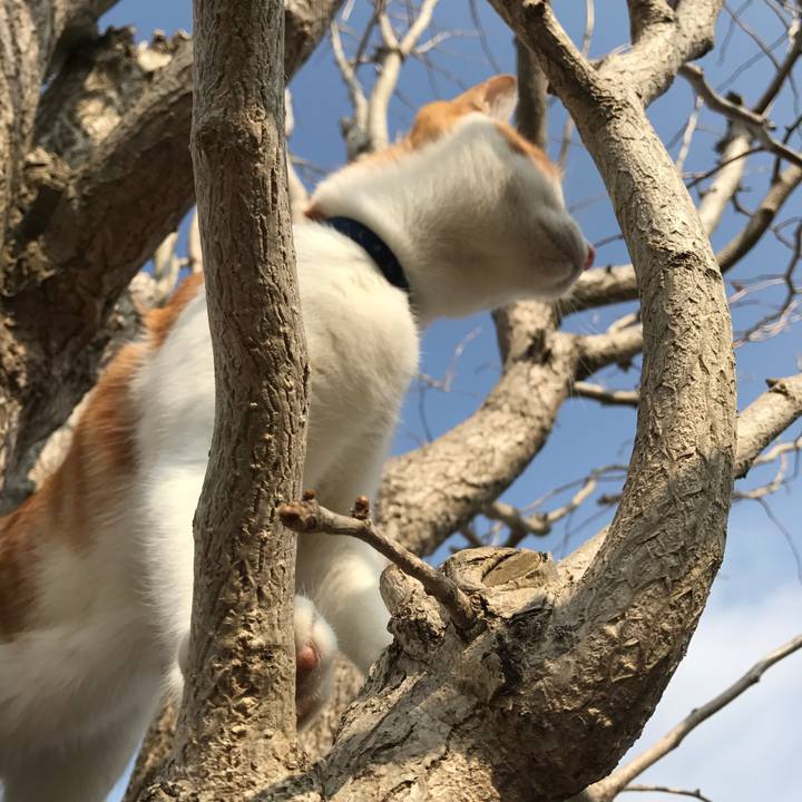 99f48ec2 da6c 4e94 8d1c 06c82debf27b