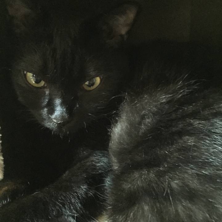 99f4acc5 e5e3 4022 811a 7b781a96a99b