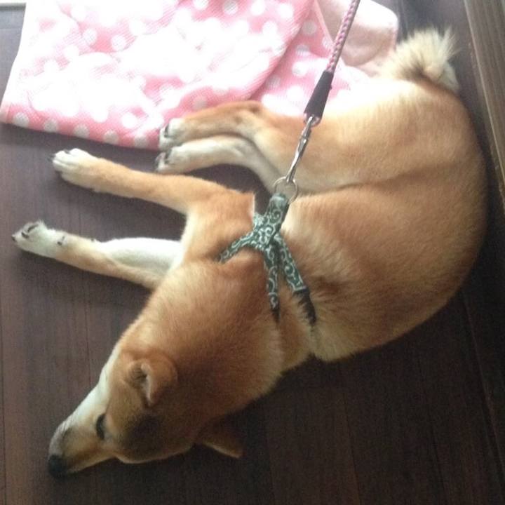 99f4d61d c3be 43b1 a84a 42190539f62d