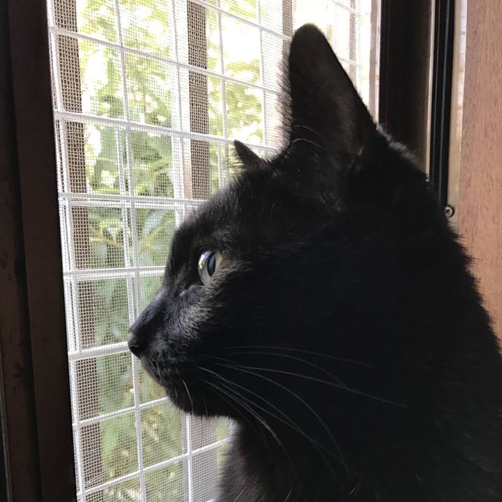 99f50f63 49c0 45af aa0b f75a474ff03c