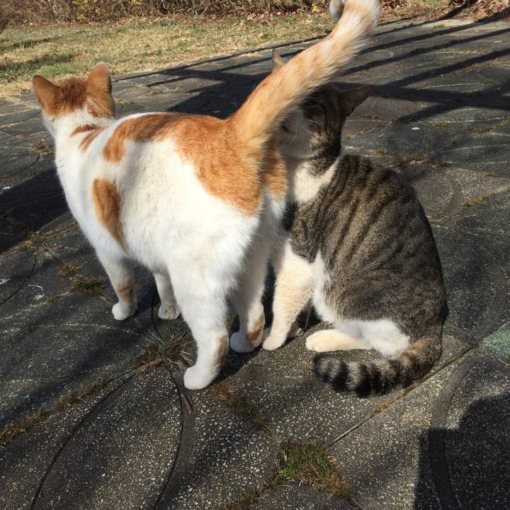 99f515a1 56eb 4697 81a7 ed638001ca9c