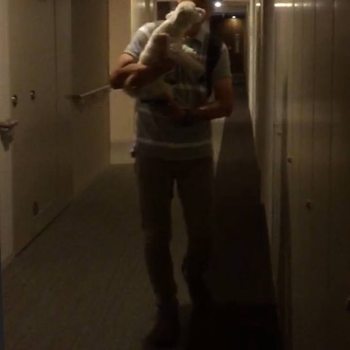 99f521e3 9ecb 4f9a b9b8 494c405b5361