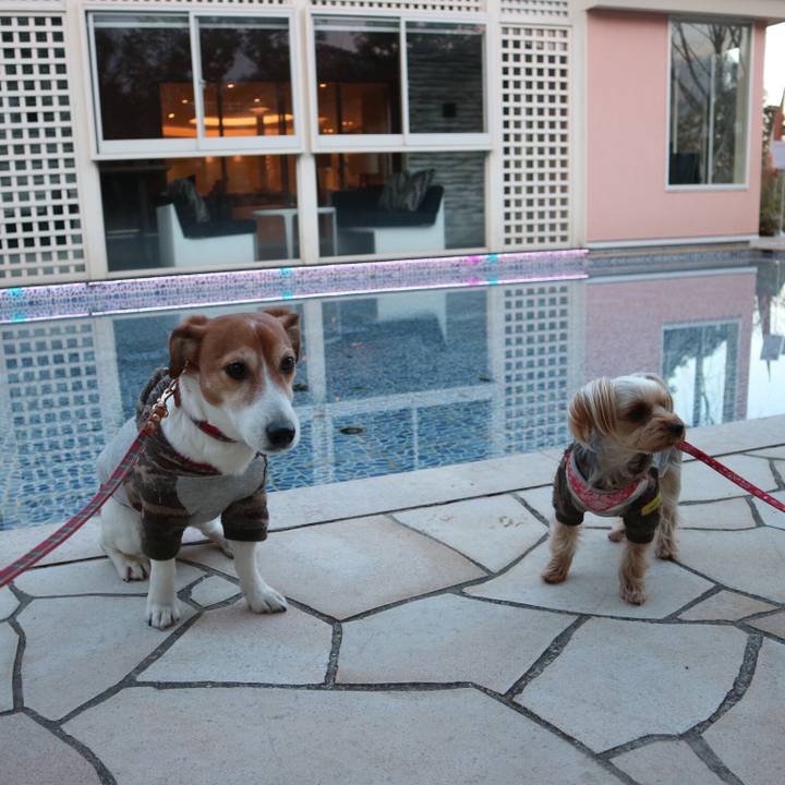 99f52b8c 294e 4fcc 826c 77c9e1e646e7