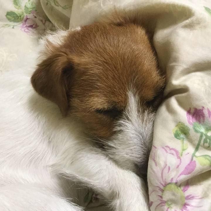 99f549fd eb18 4471 9d88 1c29c32d9546