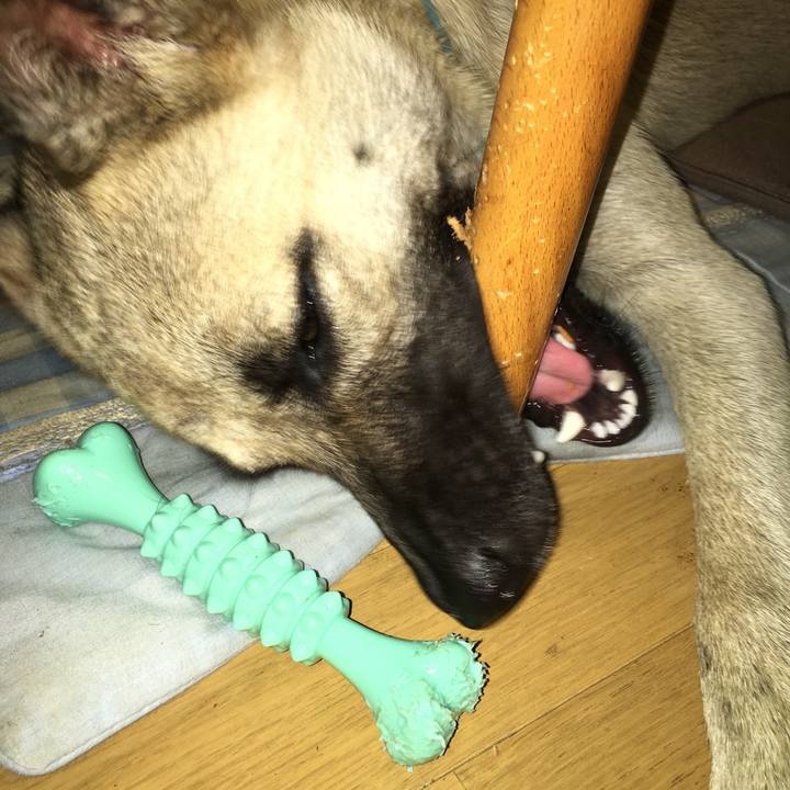 99f57875 5406 4498 989d b760a8a209e1