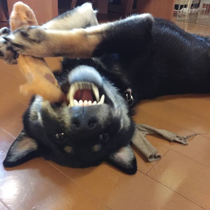 99f5e070 1761 4bef 9996 4ca81402a4ad