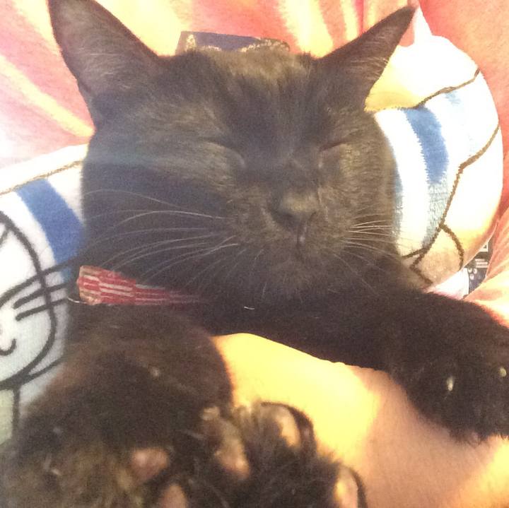 99f61ef1 e5bf 4401 b776 1a09024f77fb