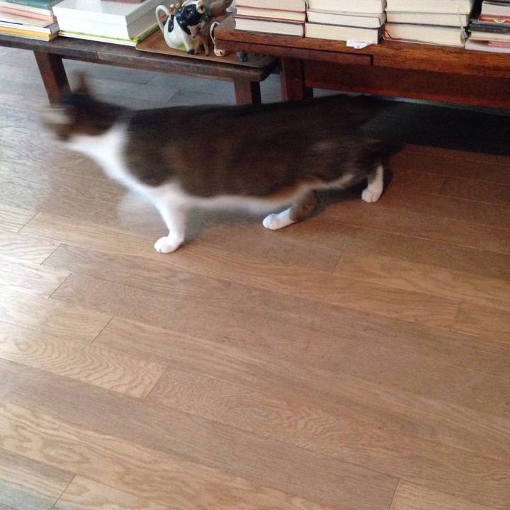 99f68b76 f624 4123 b7a9 59de335321cd