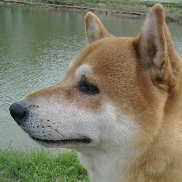 99f6ab9b 1919 4801 80c3 49b3a99eaadf