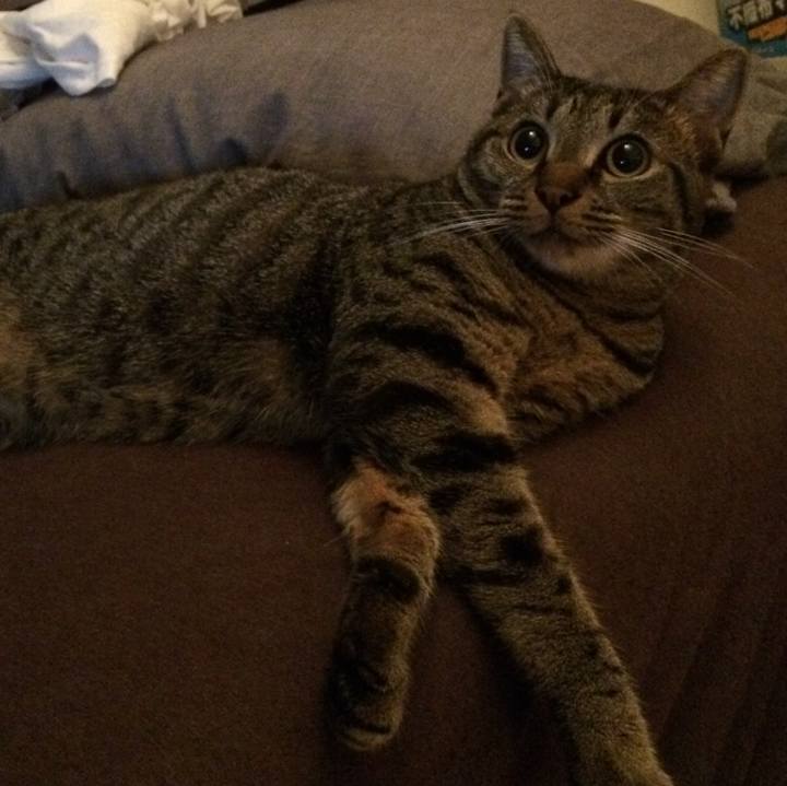 99f6dcb1 8ee1 4e1a a2d8 5889cb98674b